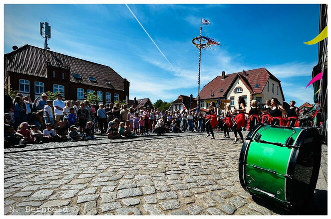 Maibaumaufstellen in Zarrentin Foto: N. Bernfeld