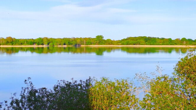 Ansicht des Schaalsees