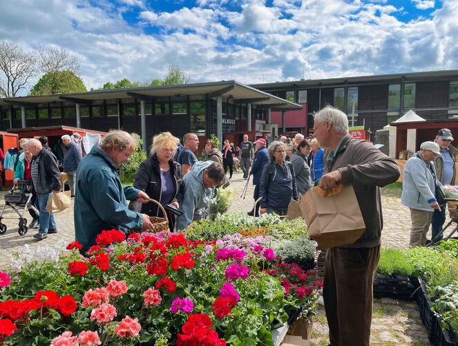 Biosphäre Schaalsee Markt am Pahlhuus. Foto: Frank Herrmann
