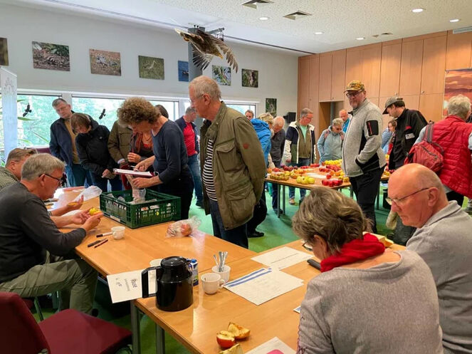 Apfelbestimmung im PAHLHUUS. Foto: Frank Herrmann