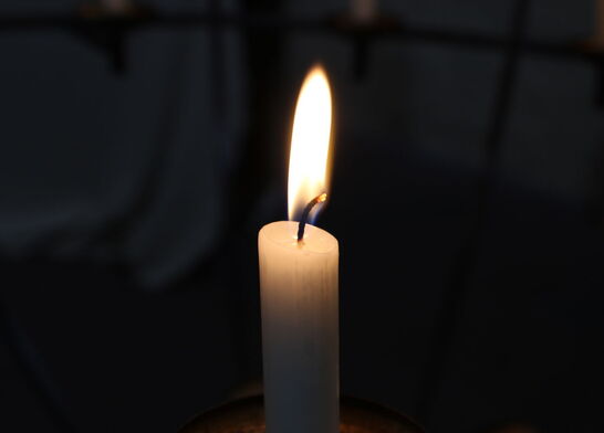 Foto: Pixabay Ali Ahamad Danesh