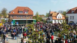 Maibaumaufstellen am Zarrentiner Marktplatz