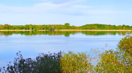 Ansicht des Schaalsees