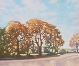 Künstler & Galerien