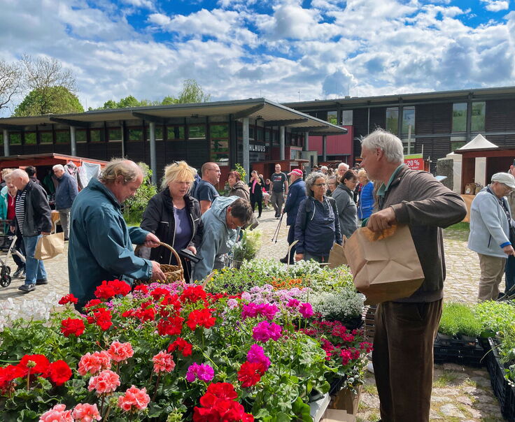 Biosphäre Schaalsee Markt am Pahlhuus. Foto: Frank Herrmann